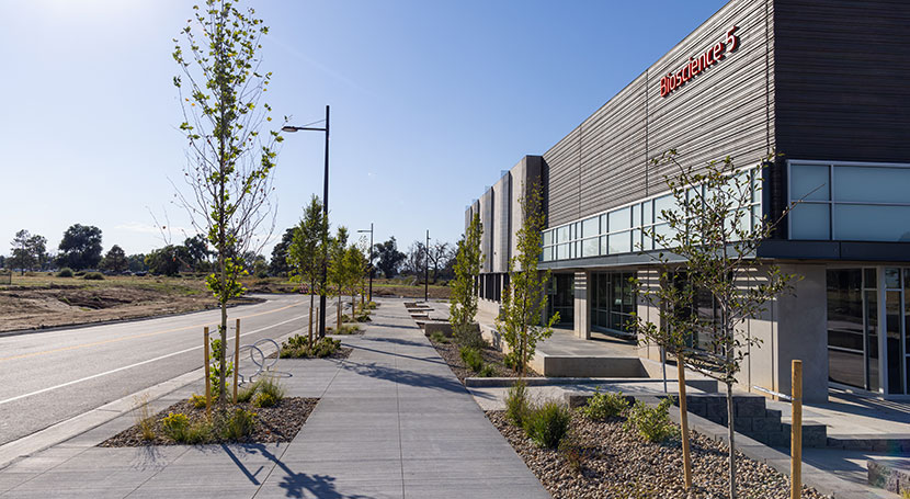 Street view, Bioscience 5