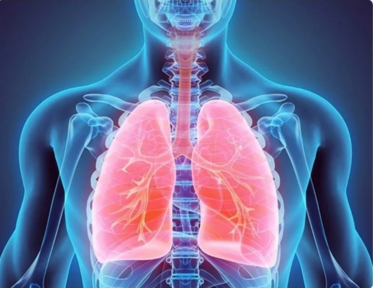 DARTNet enhances and enlarges clinical decision support for clinicians