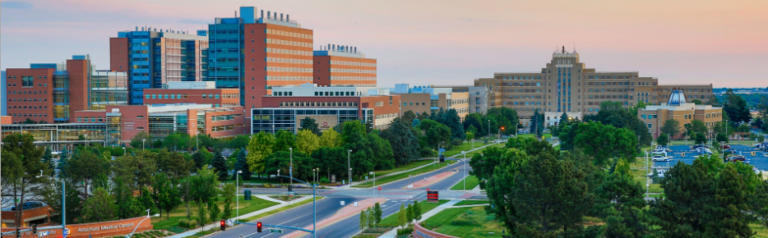 CU Anschutz: Implantable Brain-Computer Interface Collaborative Community (iBCI-CC) to Drive Innovation in Neurotechnology