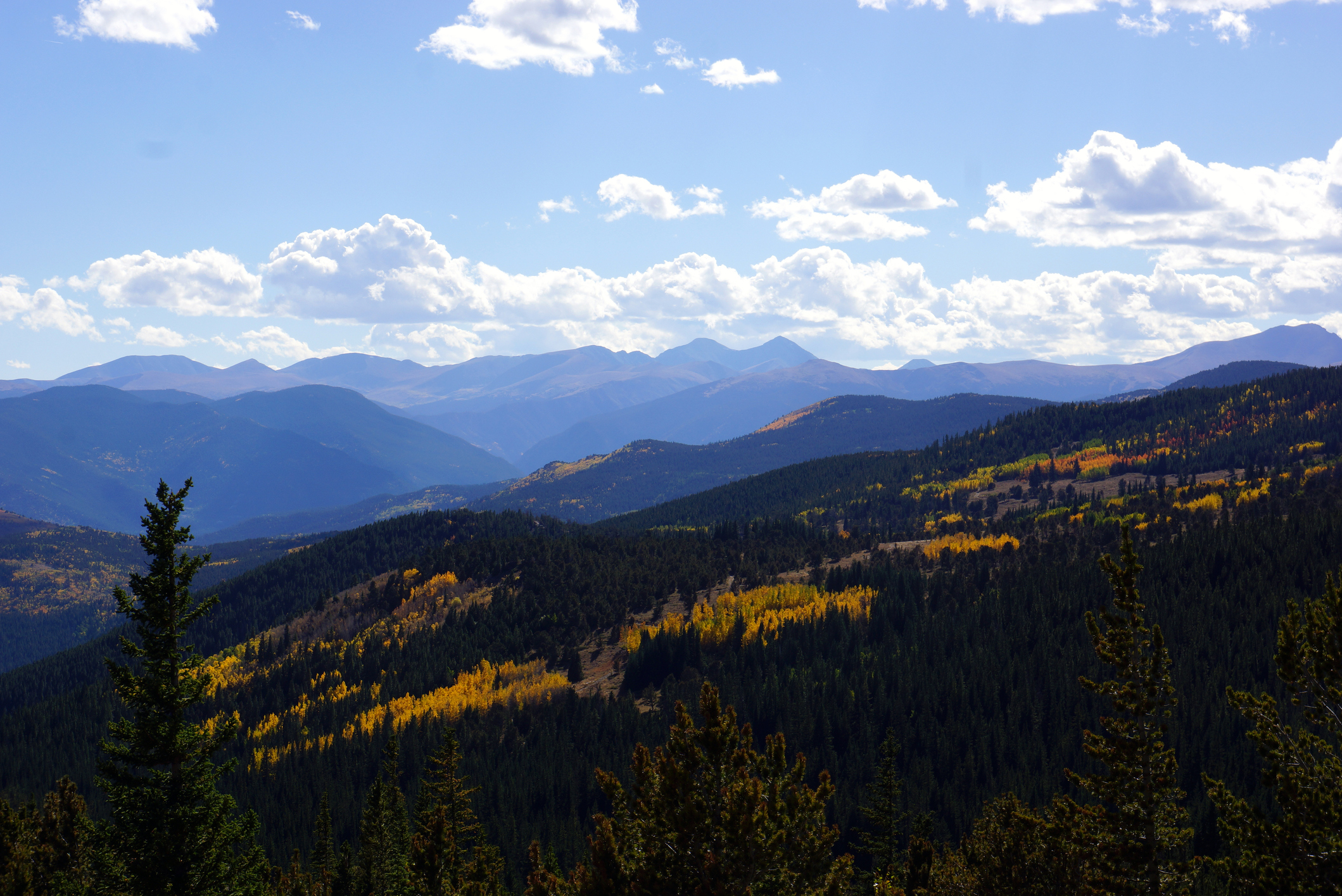 Connecting Health Innovators to Capital: Stout Street Brings Investment to Fitzsimons